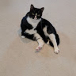 Meet your Posher, Nancy